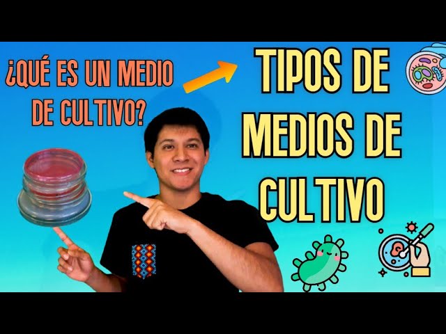 preparacion de medios de cultivo informe