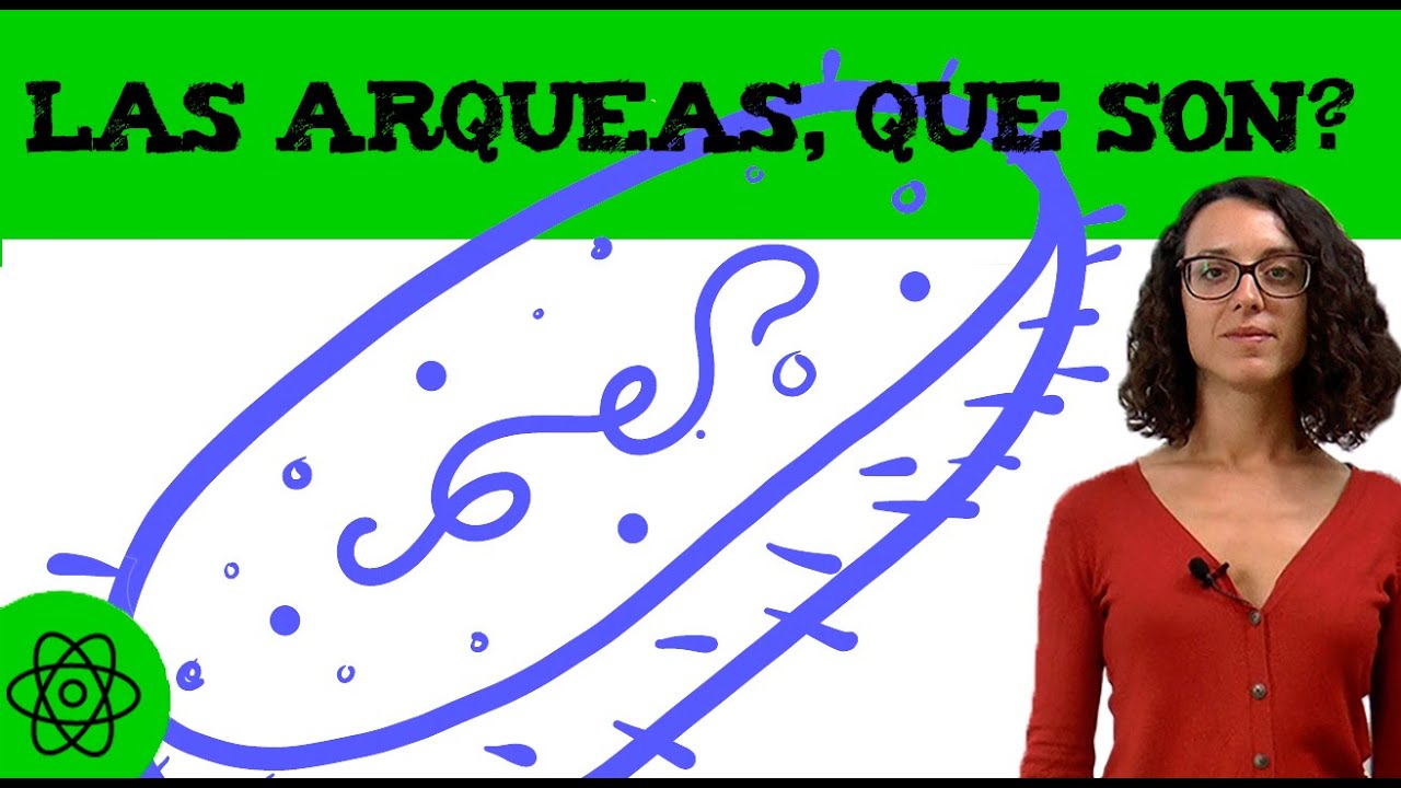 principales caracteristicas de las arqueobacterias