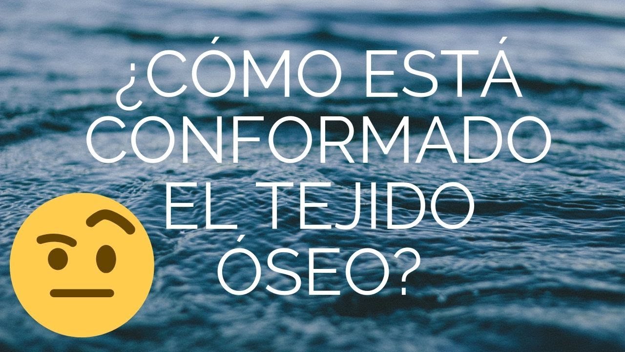 prolongación formada por el tejido oseo