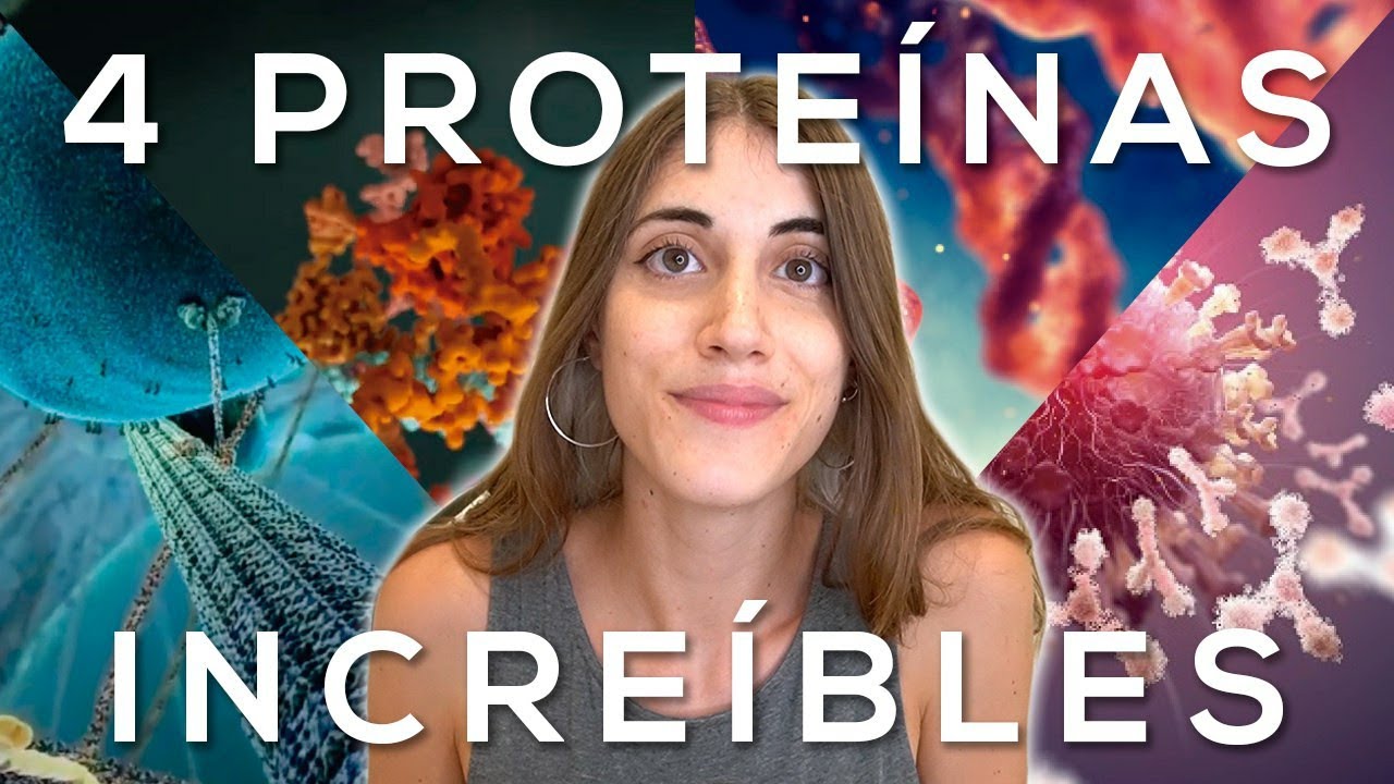 proteinas para que sirven en el cuerpo humano