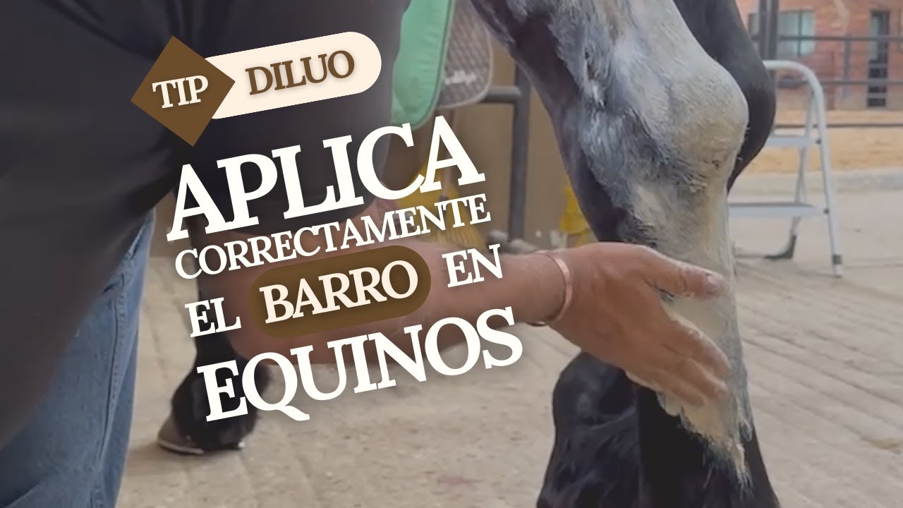 que le ponen a los caballos en las patas