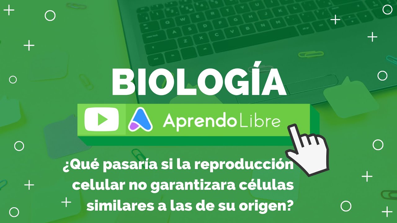 que pasaria si el adn no se replica antes de la division celular