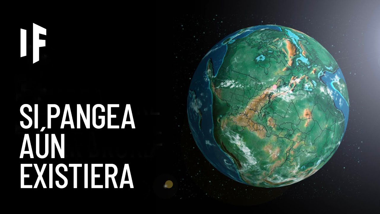 que pasaria si no hubiera diversidad