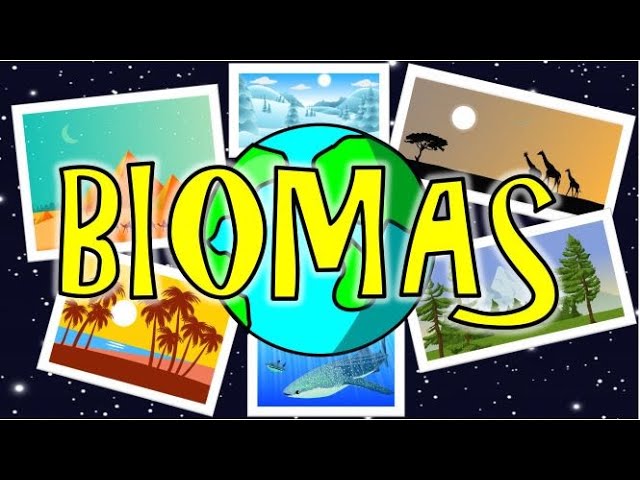 que relacion existe entre los biomas y la biosfera