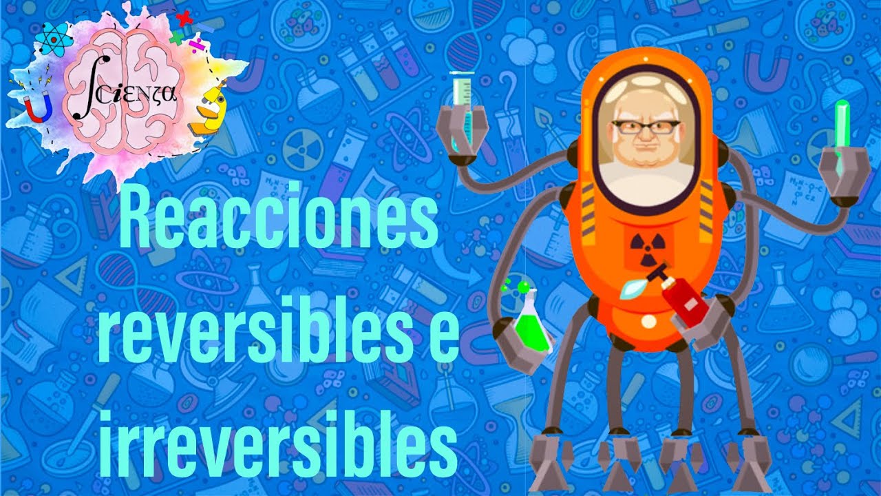 reacciones reversibles e irreversibles en el cuerpo humano