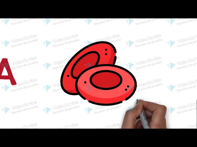 regulacion del ph en el plasma de la sangre