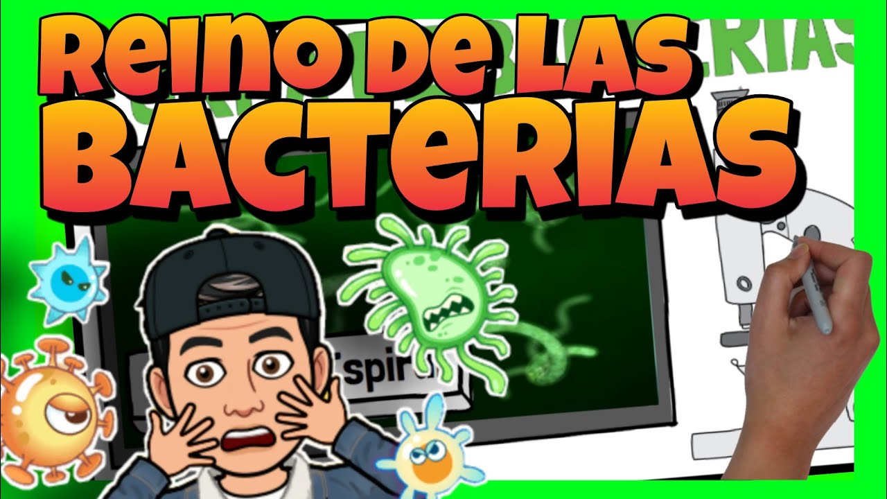 reino monera ejemplos de bacterias