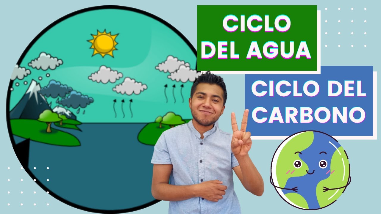 respiración en el ciclo del carbono