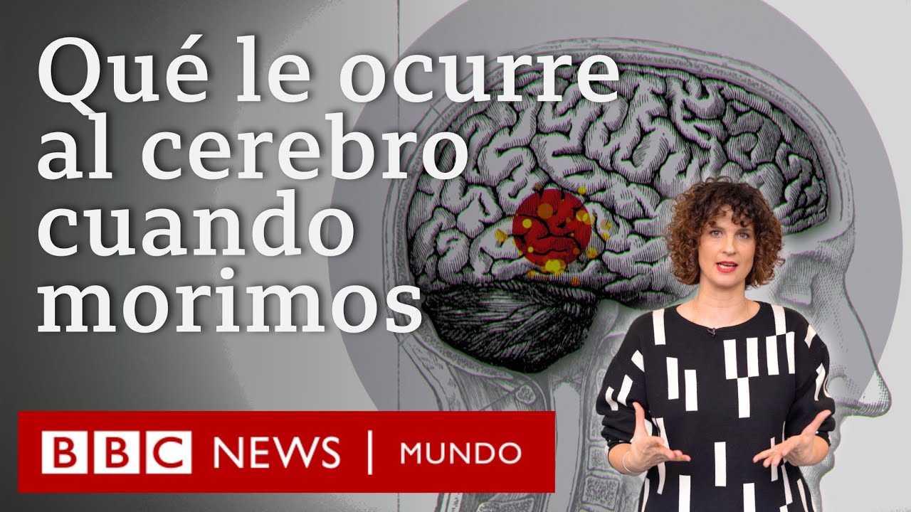 si muriera una parte de tus neuronas ¿qué sucedería?