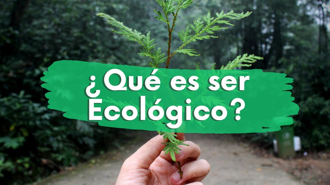 significado de ecológico y ejemplos