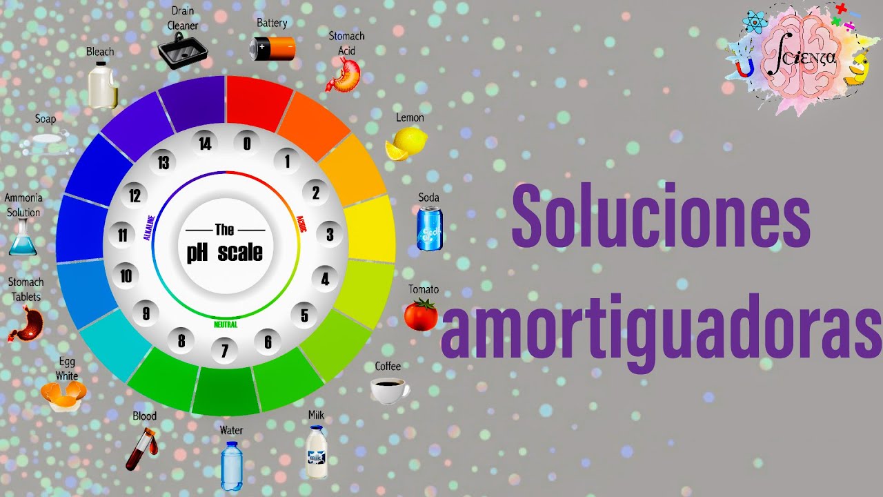 soluciones amortiguadoras en los sistemas biologicos