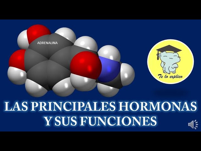 son las sustancias que regulan todas las funciones del cuerpo humano