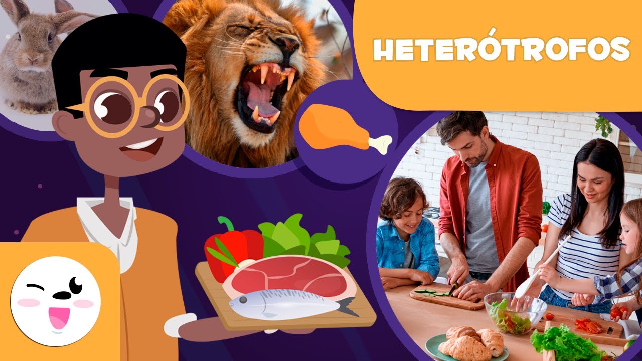 son organismos que se alimentan de herbívoros