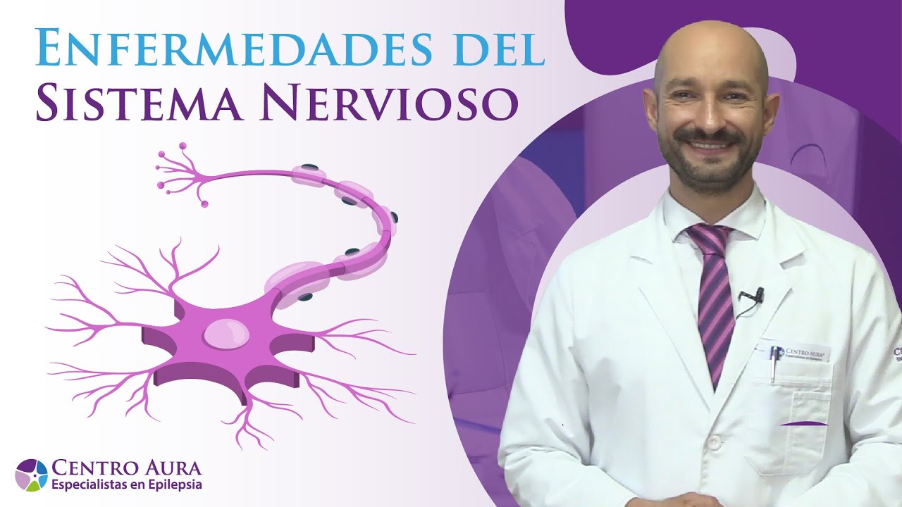 terminales nerviosas del cuerpo humano