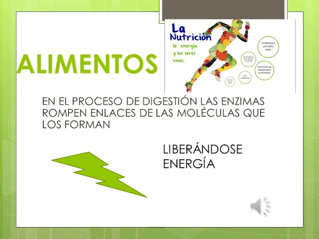 unidades con las que se mide la energia en los seres vivos