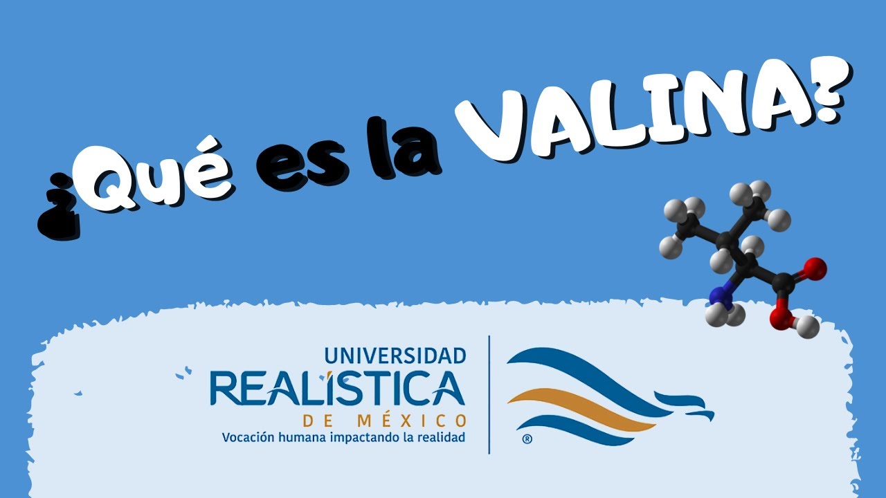 valina funcion en el cuerpo humano