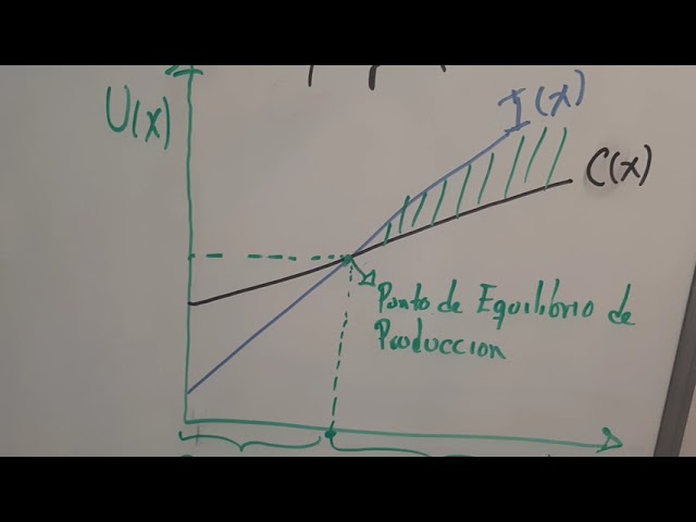 ¿cómo utilizarías las funciones lineales para calcular tus utilidades?