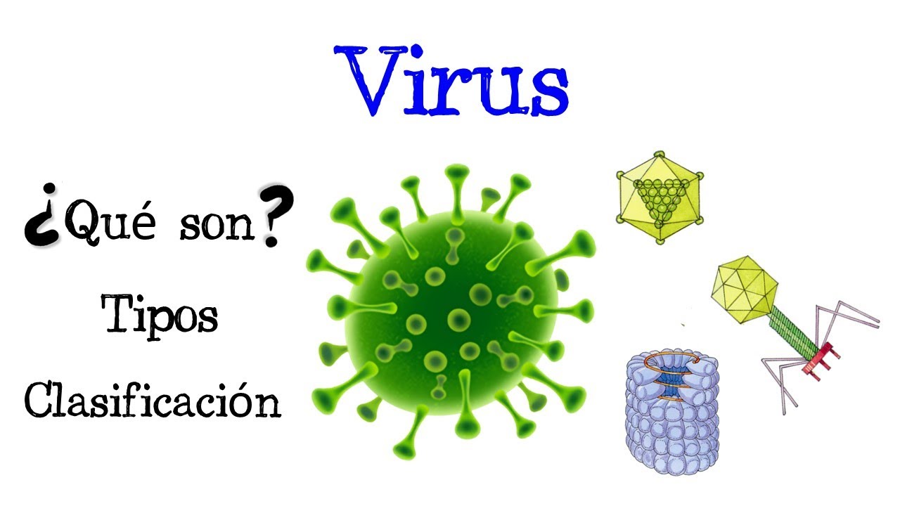 ¿cuáles son las tres estructuras básicas de los virus?