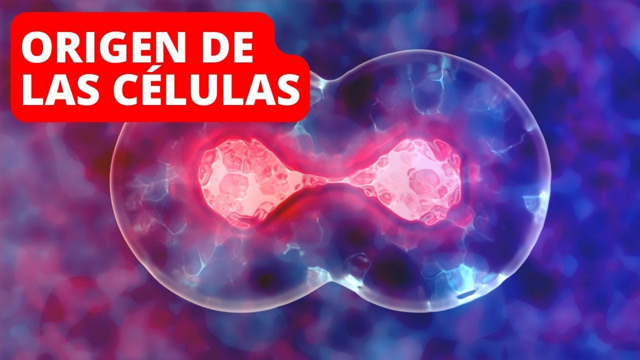¿por qué se dice que el origen de los seres vivos depende de las células?