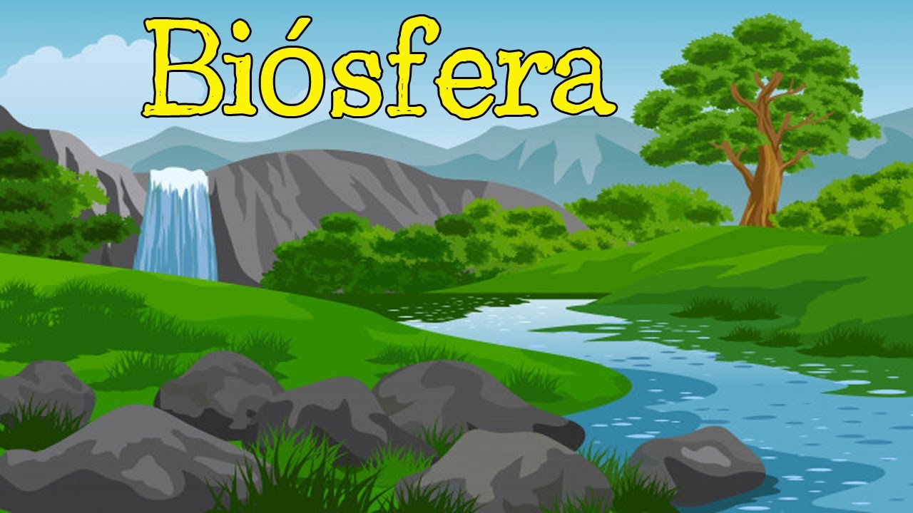 ¿qué características tiene la biosfera?