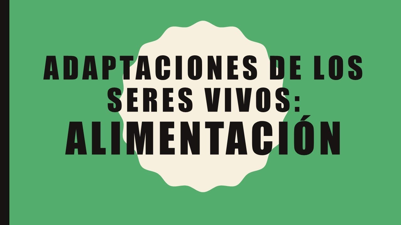 adaptaciones de los seres vivos para alimentarse
