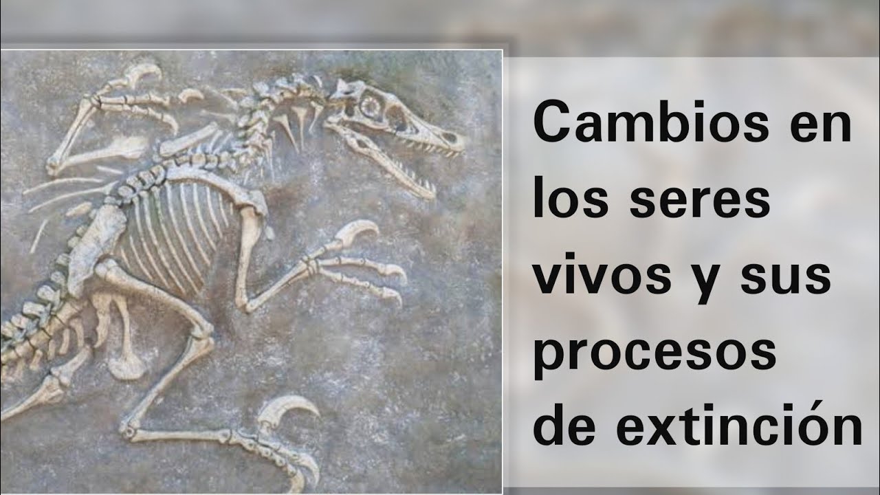 cambios en los seres vivos y procesos de extincion