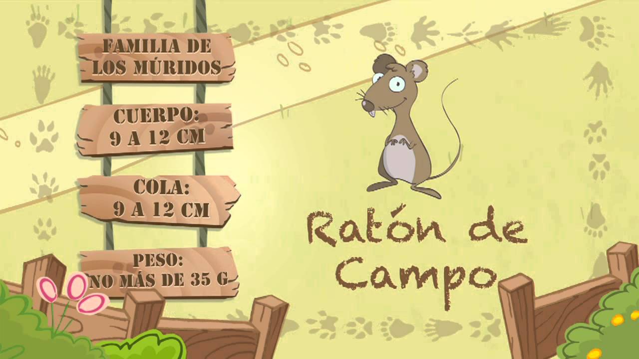 características de los ratones para niños