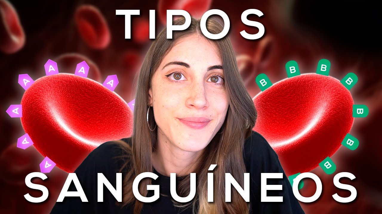 celulas responsables de los diferentes grupos sanguineos