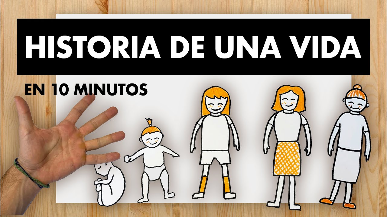 clasificacion por edades del ser humano