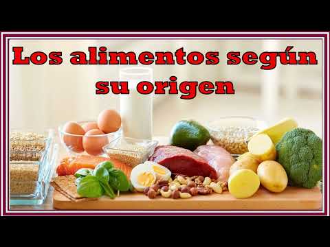 como se clasifican los alimentos según su origen