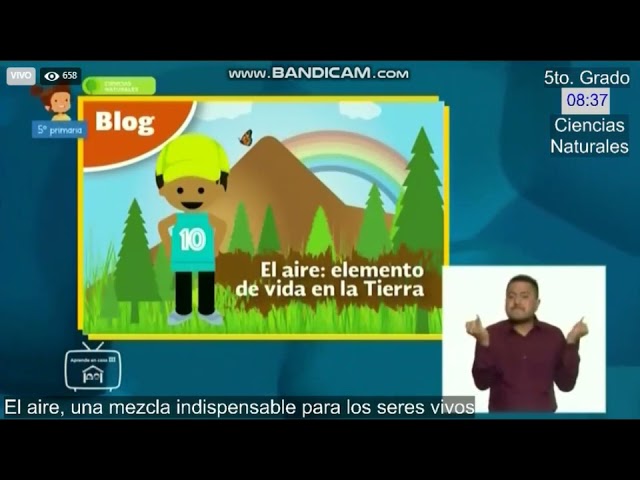 cómo se le llama a la mezcla indispensable para la vida de los seres vivos