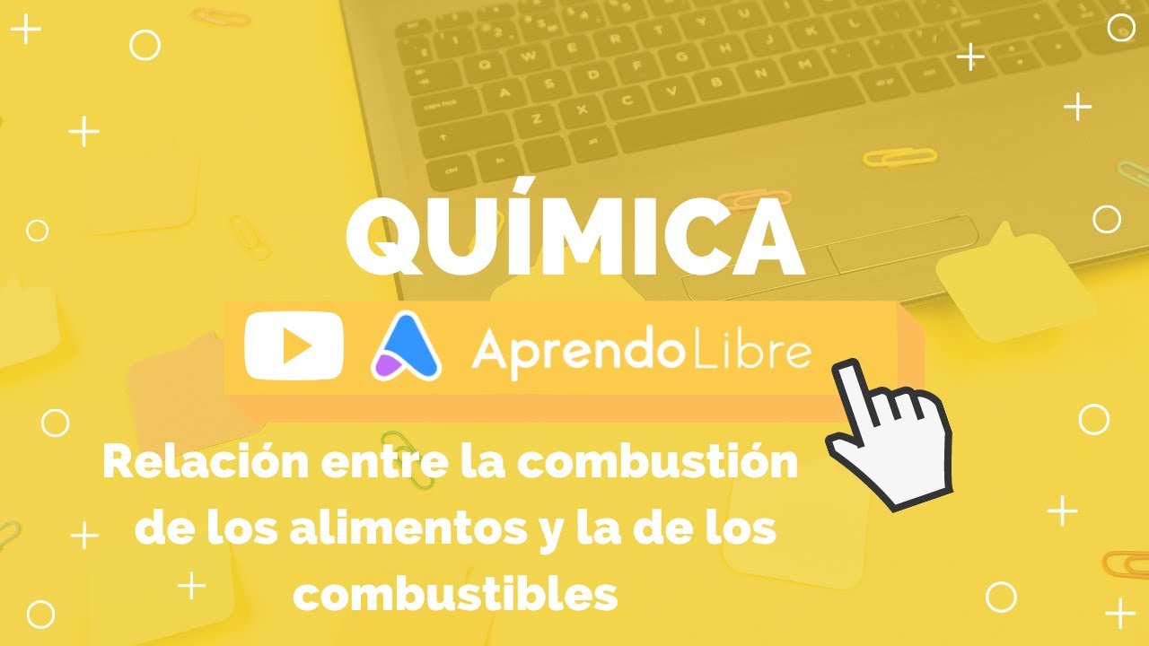 cómo se relaciona la combustión de los alimentos y los combustibles