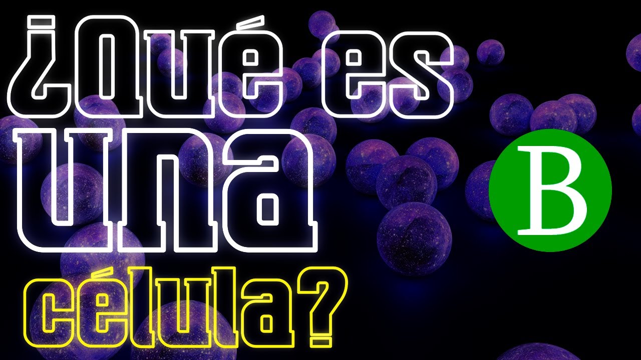 cual es la importancia de una celula en el ser humano