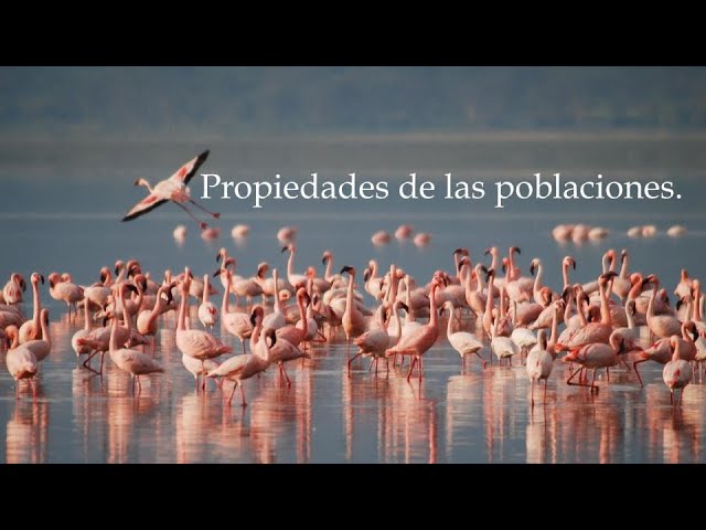 cuales son las propiedades de una poblacion