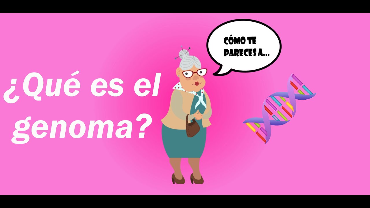 cuantos genes tiene el genoma humano