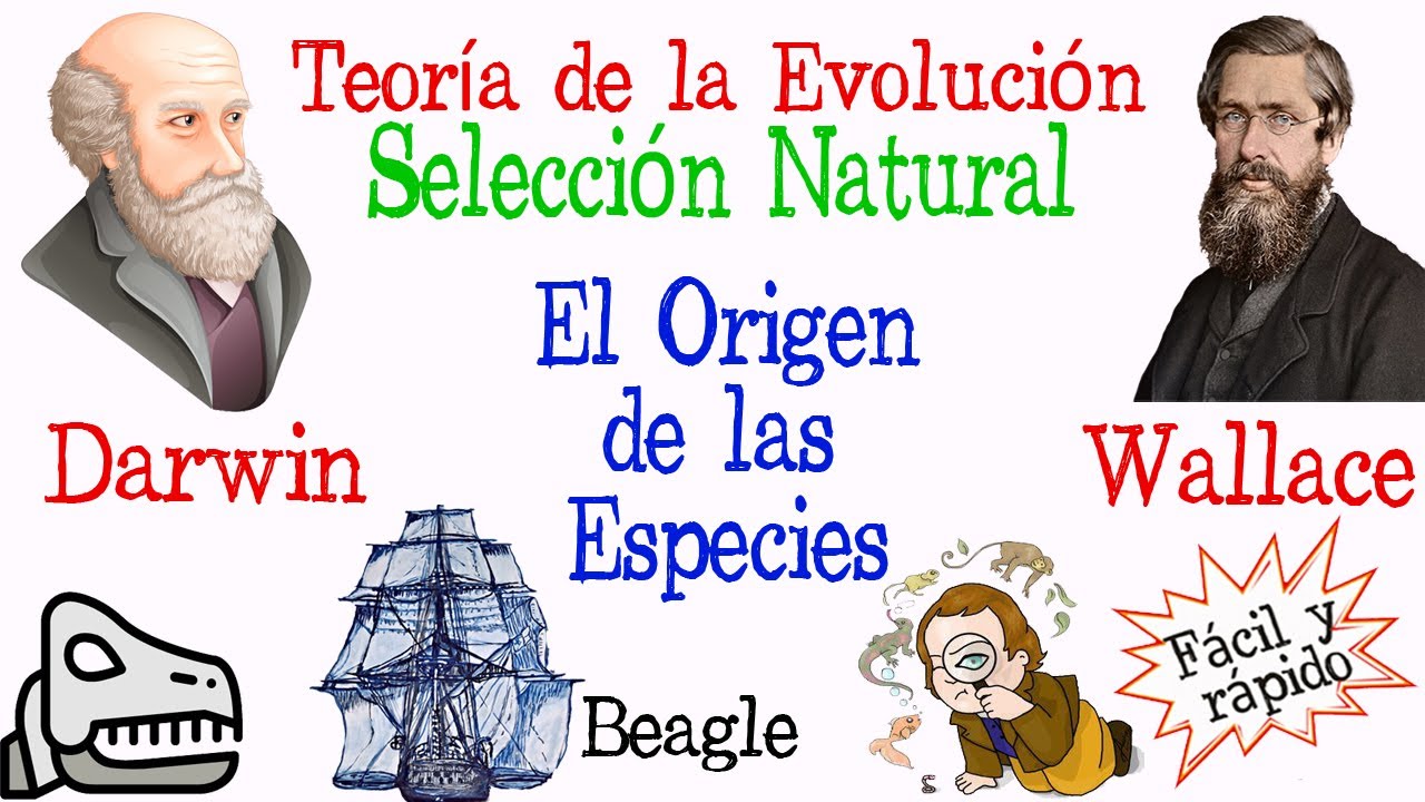darwin-wallace area de investigacion