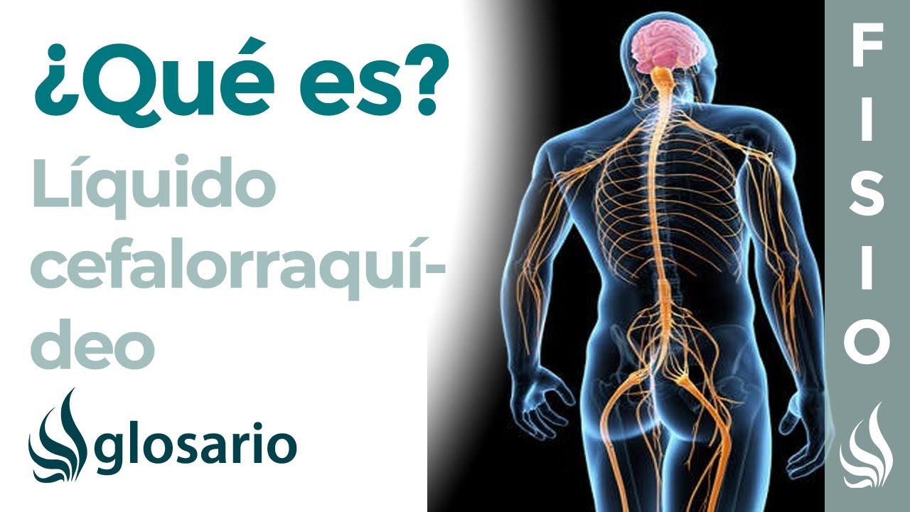 de que esta compuesto el liquido cefalorraquideo