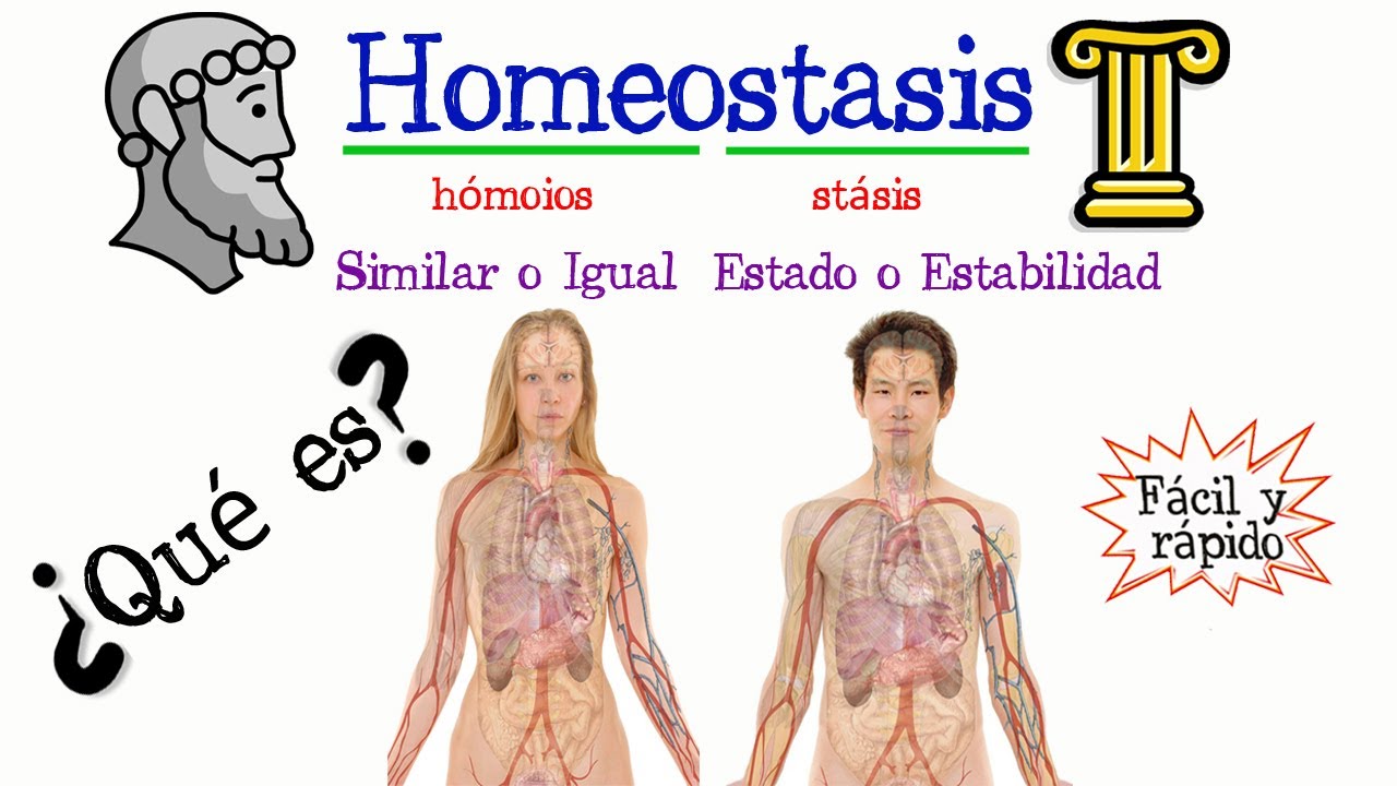 de que manera los organismos unicelulares y multicelulares mantienen la homeostasis