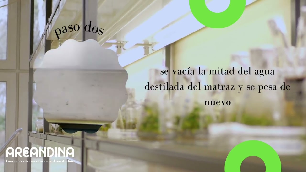 densidad real del suelo definicion