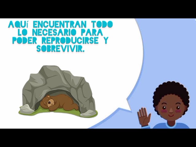 diferencia entre habitat y ecosistema