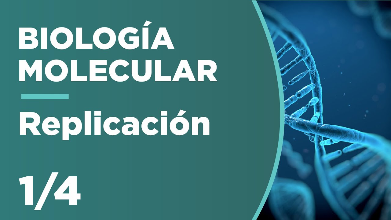 dogma central de la biologia molecular replicacion
