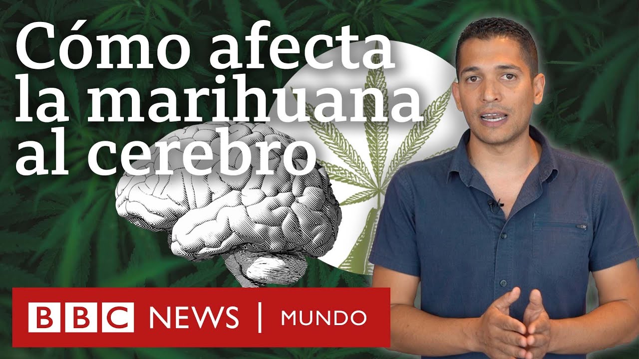 efectos de la piedra a largo plazo