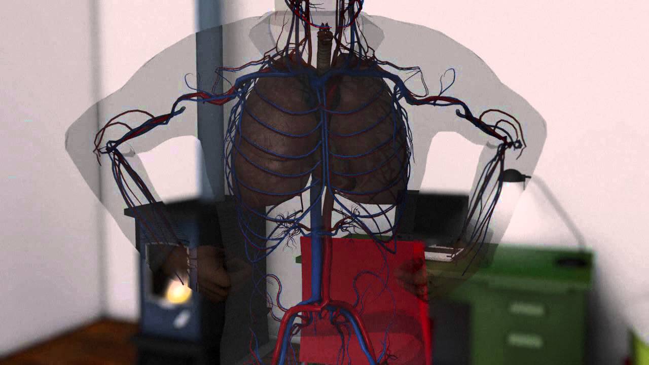 efectos del dioxido de carbono en el ser humano