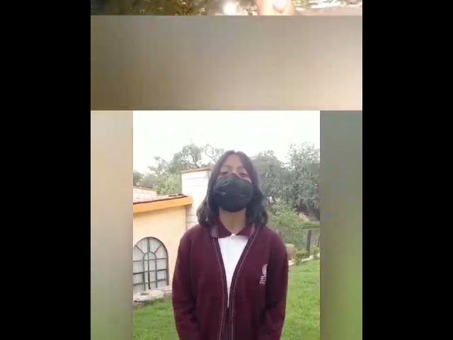 ejemplo de un fenómeno natural usando el método científico