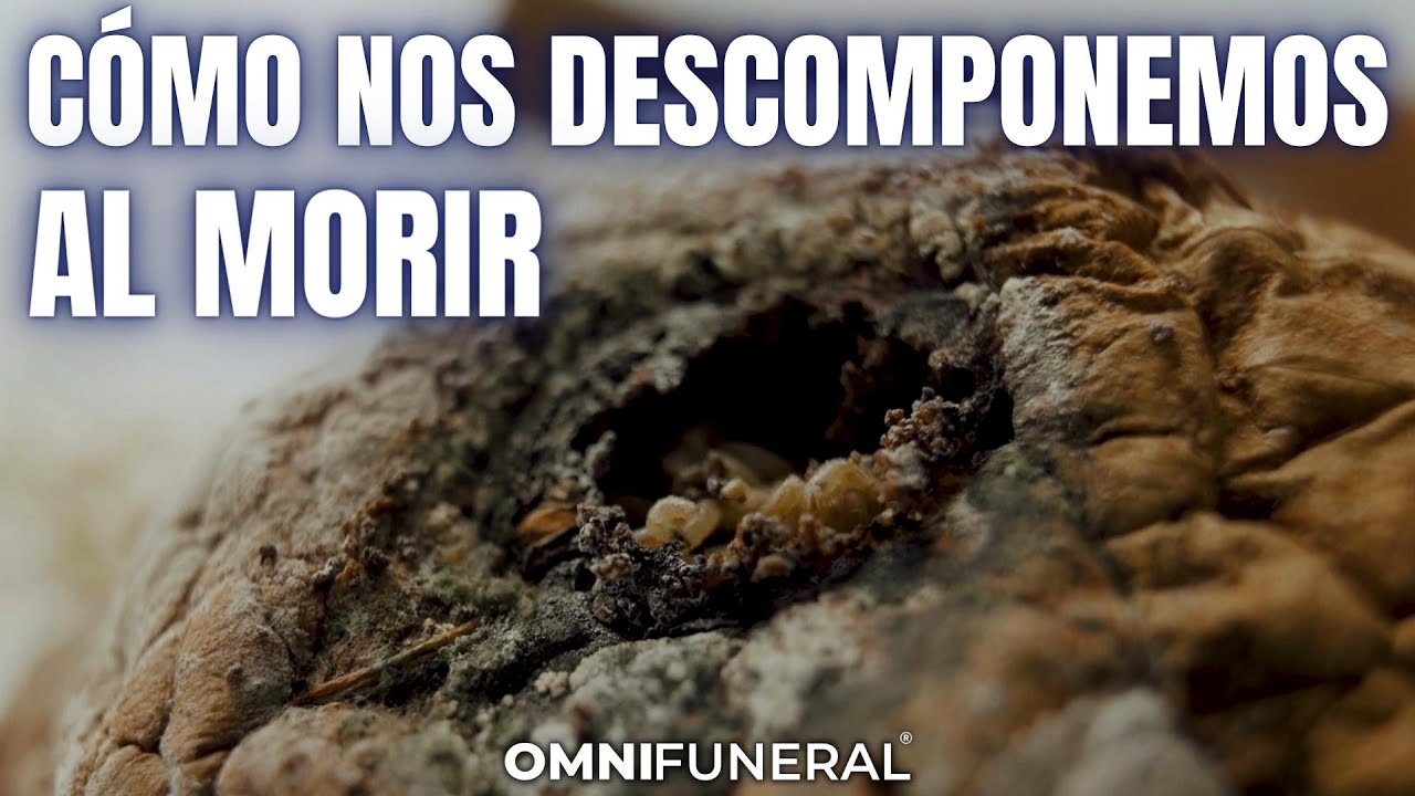 en cuanto tiempo se descompone un cuerpo humano