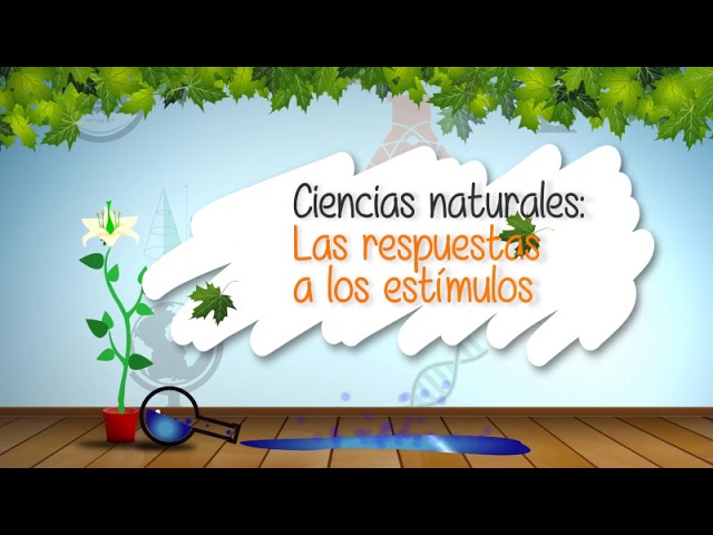 es la capacidad que tienen los organismos de responder a estímulos