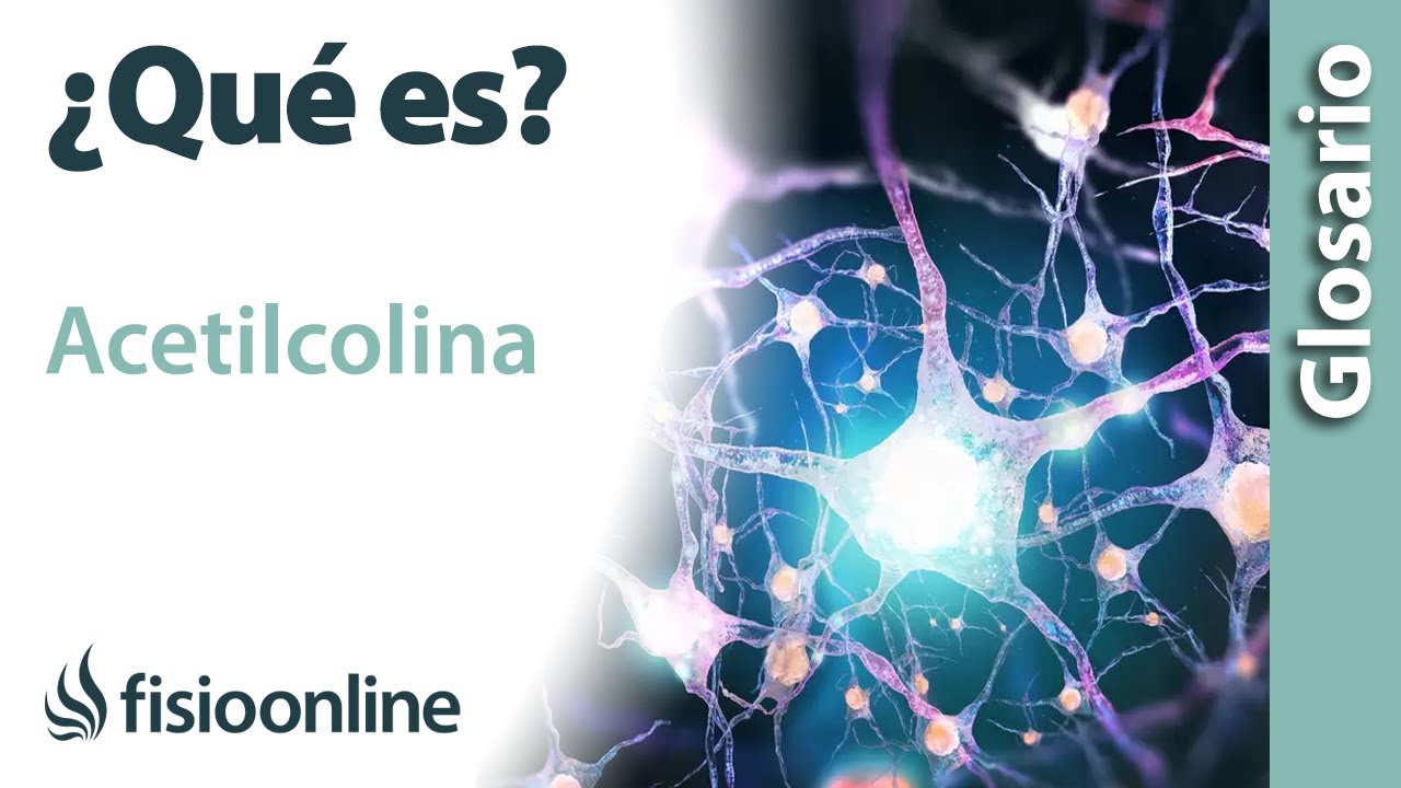 estructura quimica de la acetilcolina