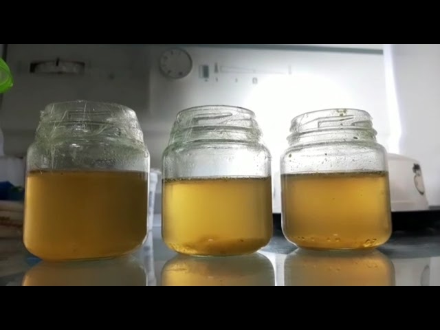 experimento caldo de cultivo resultados