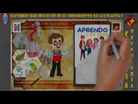 factores importantes que influyen en el desarrollo de las plantas