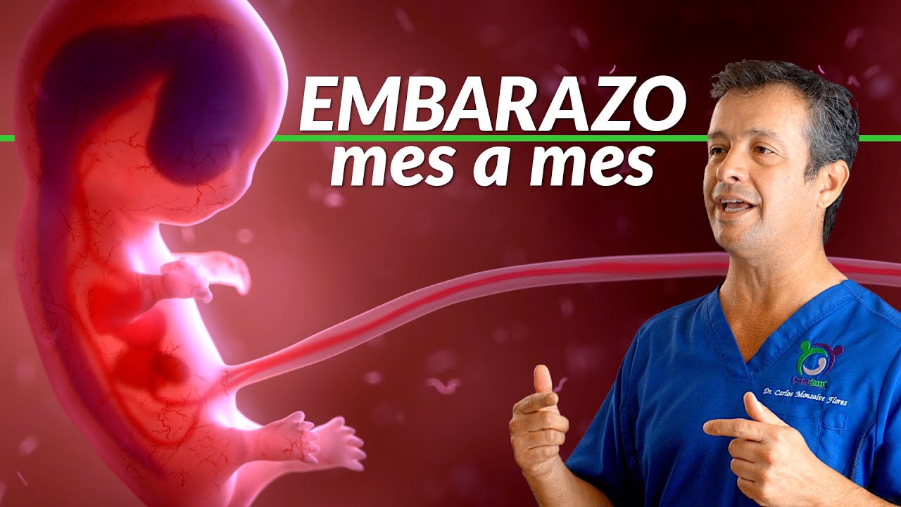 forma de desarrollo en la que el embrión crece dentro de la madre